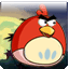 Angry_Birds_Crazy_360x640_sens_[Java.UZ]